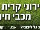 אילוסטרציה (מערכת וואלה! NEWS) אילוסטרציה (מערכת וואלה! NEWS)