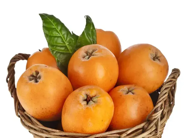 שסק (ShutterStock) שסק (ShutterStock)