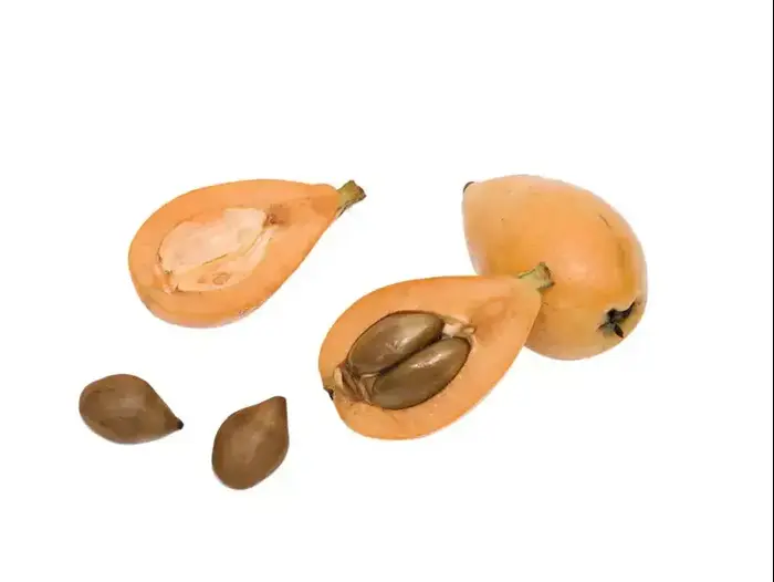 שסק (ShutterStock) שסק (ShutterStock)