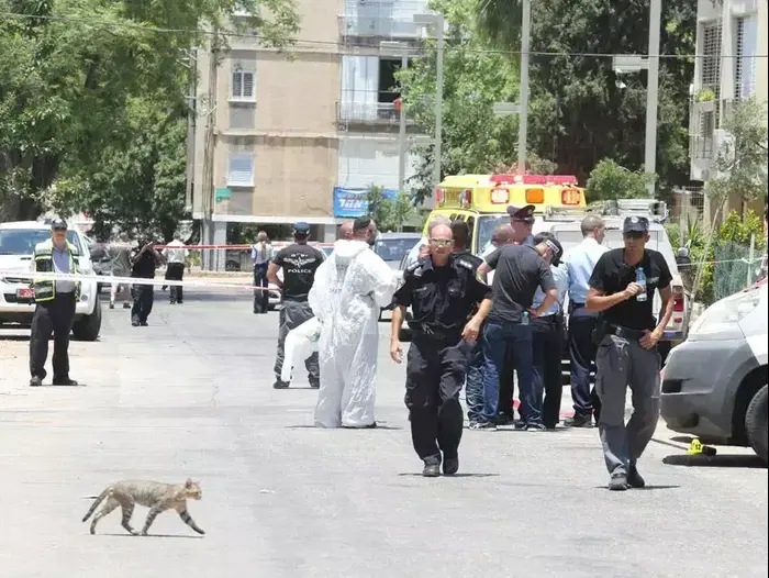 שני הרוגים ופצוע באירוע ירי ברחוב משמר הירדן פ"ת, יוני 2013 (יותם רונן) שני הרוגים ופצוע באירוע ירי ברחוב משמר הירדן פ"ת, יוני 2013 (יותם רונן)