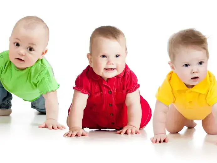תינוקות זוחלים (ShutterStock) תינוקות זוחלים (ShutterStock)