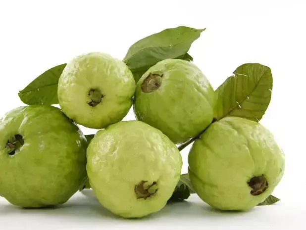 אילוסטרציה (ShutterStock) אילוסטרציה (ShutterStock)