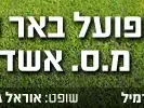 אילוסטרציה (מערכת וואלה! NEWS) אילוסטרציה (מערכת וואלה! NEWS)