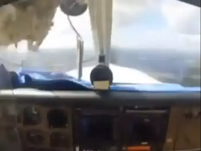 ציפור מתרסקת אל תוך שמשה של מטוס (צילום מסך , יוטיוב) ציפור מתרסקת אל תוך שמשה של מטוס (צילום מסך , יוטיוב)