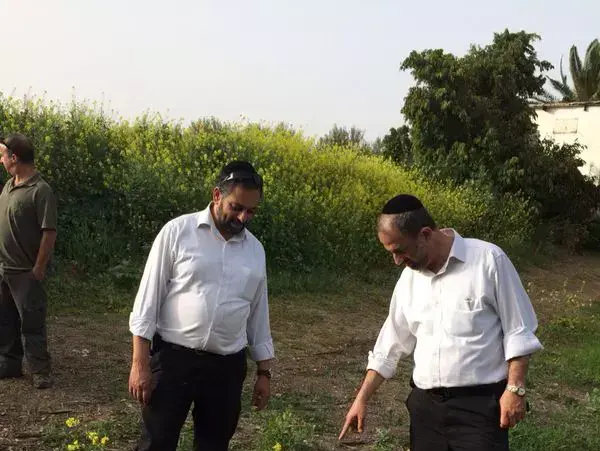 הזאבה התוקפת בגינוסר אחרי שירו עליה. מרץ 2014 (יח"צ , עיריית טבריה) הזאבה התוקפת בגינוסר אחרי שירו עליה. מרץ 2014 (יח"צ , עיריית טבריה)