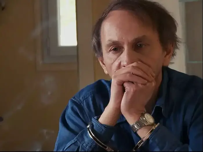 ההיעלמות של מישל וולבק (יח"צ)