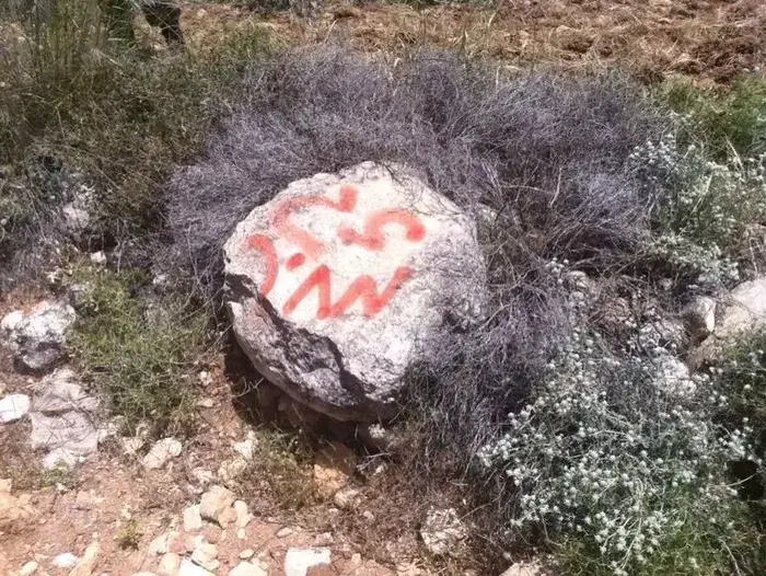 חשד לתג מחיר ליד ההתנחלות בת עין שבגוש עציון (יח"צ) חשד לתג מחיר ליד ההתנחלות בת עין שבגוש עציון (יח"צ)