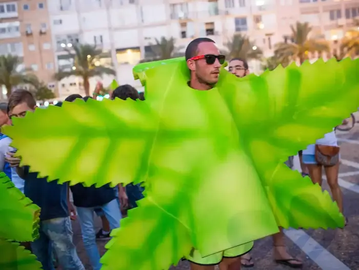 עצרת בעד שימוש בצמח הקנאביס, הבימה, תל אביב. מאי 2014 (יותם רונן) עצרת בעד שימוש בצמח הקנאביס, הבימה, תל אביב. מאי 2014 (יותם רונן)