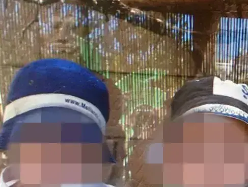 הנכדים שנחטפו על פי החשד בידי סבתם מביתה בצפון, יוני 2014 (חטיבת דובר המשטרה) הנכדים שנחטפו על פי החשד בידי סבתם מביתה בצפון, יוני 2014 (חטיבת דובר המשטרה)
