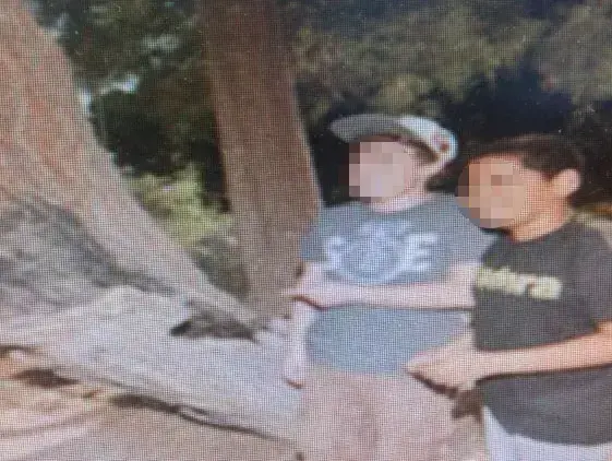 העץ בגן הציבורי בבת ים שבו הסתיר בן 13 מטען חבלה, מאי 2014 (חטיבת דובר המשטרה) העץ בגן הציבורי בבת ים שבו הסתיר בן 13 מטען חבלה, מאי 2014 (חטיבת דובר המשטרה)