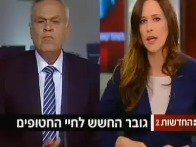 חדשות 2 בשידור נערים חטופים (צילום מסך) חדשות 2 בשידור נערים חטופים (צילום מסך)