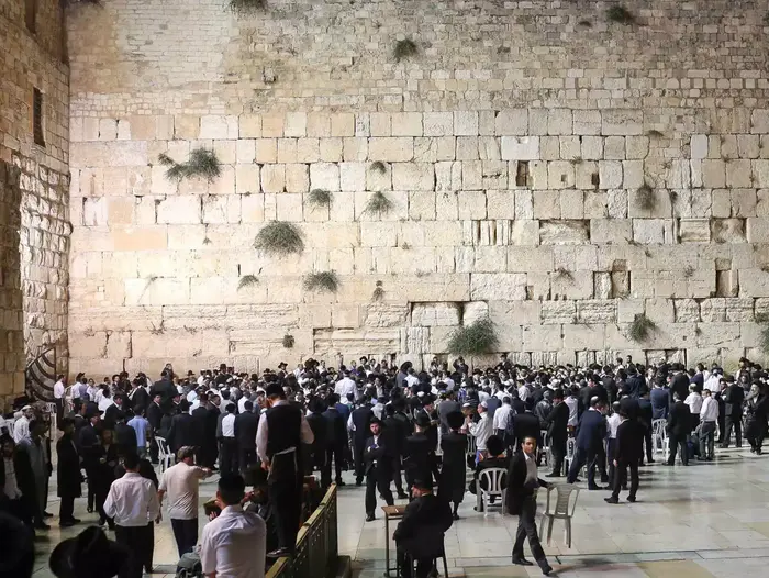 תפילה בכותל לשלום החיילים בצוק איתן (נועם מושקוביץ) תפילה בכותל לשלום החיילים בצוק איתן (נועם מושקוביץ)