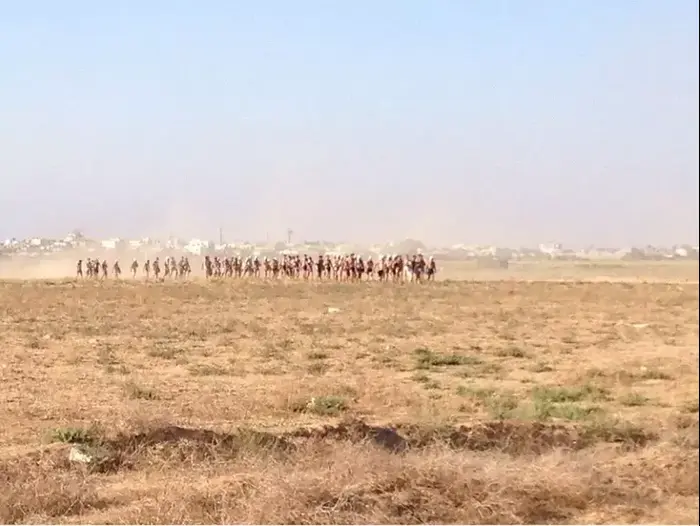 150 עצורי חמאס מובלים לישראל מרצועת עזה (ספק 500) 150 עצורי חמאס מובלים לישראל מרצועת עזה (ספק 500)