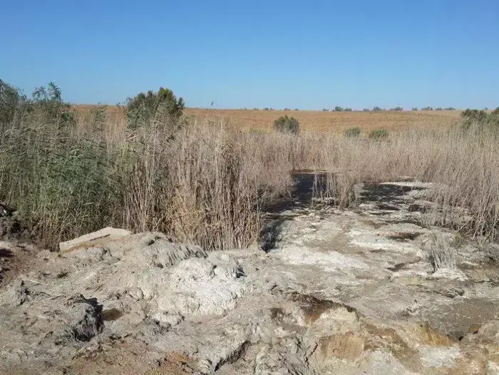 שפכים אסורים שפונו בניגוד לחוק (מערכת וואלה! NEWS) שפכים אסורים שפונו בניגוד לחוק (מערכת וואלה! NEWS)
