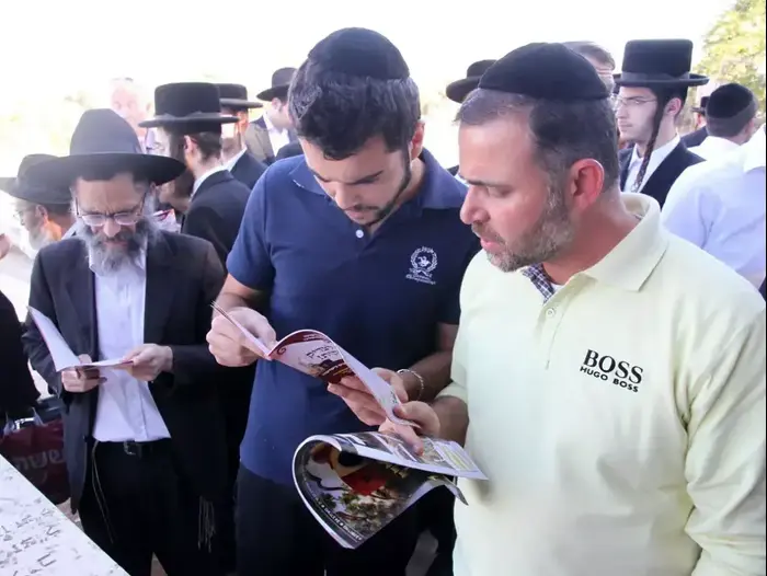 הקבר של רבי גדליה משה מזוועהיל (יח"צ , מוסדות זוועהיל) הקבר של רבי גדליה משה מזוועהיל (יח"צ , מוסדות זוועהיל)