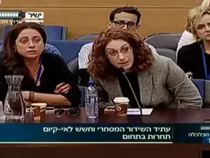 טלי גורן בוועדת הכלכלה (צילום מסך)