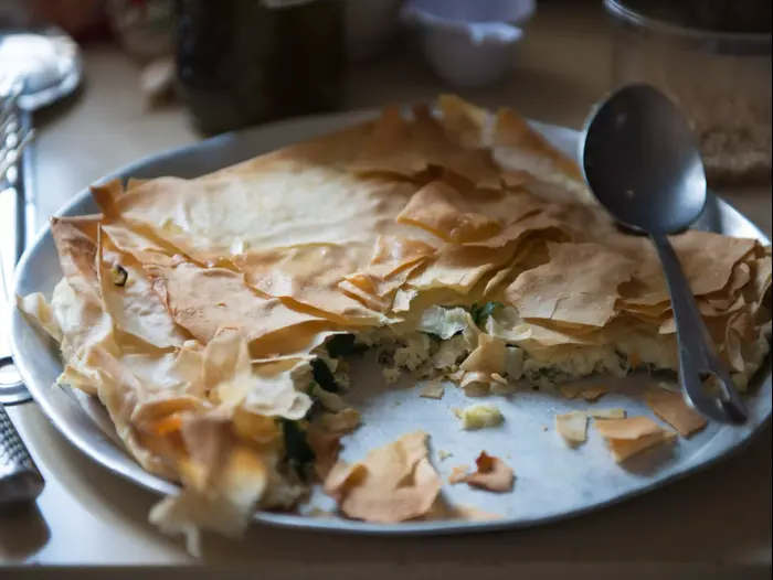 ספנקופיטה (נמרוד סונדרס) ספנקופיטה (נמרוד סונדרס)