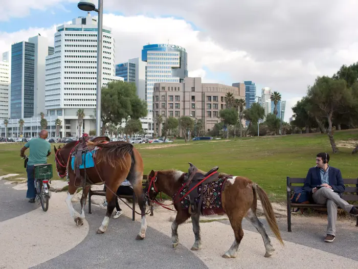 חוף תל אביב מעונן חלקית (AP) חוף תל אביב מעונן חלקית (AP)