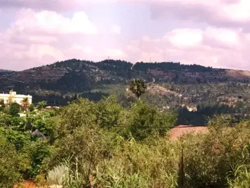 הר חרת כיום, מבט מכיוון עין כרם (יח"צ , החברה להגנת הטבע) הר חרת כיום, מבט מכיוון עין כרם (יח"צ , החברה להגנת הטבע)