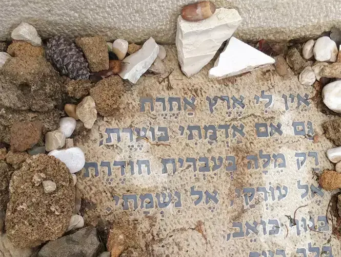 קברו של אהוד מנור (באדיבות המשפחה , עפרה פוקס) קברו של אהוד מנור (באדיבות המשפחה , עפרה פוקס)