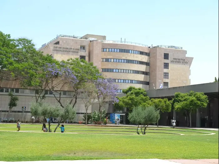 בית החולים שיבא תל השומר, מאי 2015 (ראובן קסטרו) בית החולים שיבא תל השומר, מאי 2015 (ראובן קסטרו)