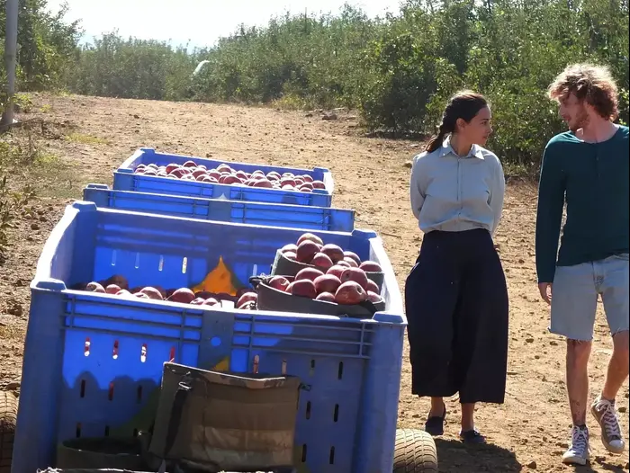 תפוחים מן המדבר (יח"צ , צילום: רונן נגל) תפוחים מן המדבר (יח"צ , צילום: רונן נגל)