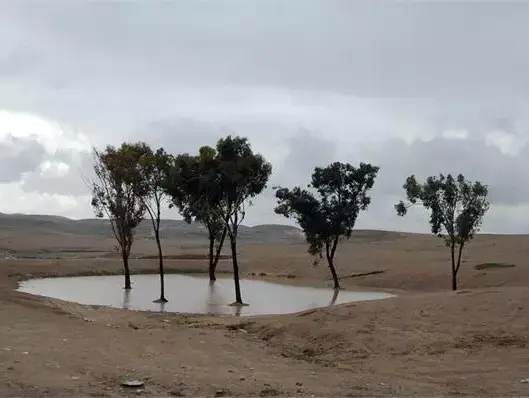 שיטת ההשקייה לימן (ספק 500 , ארכיון קק"ל) שיטת ההשקייה לימן (ספק 500 , ארכיון קק"ל)