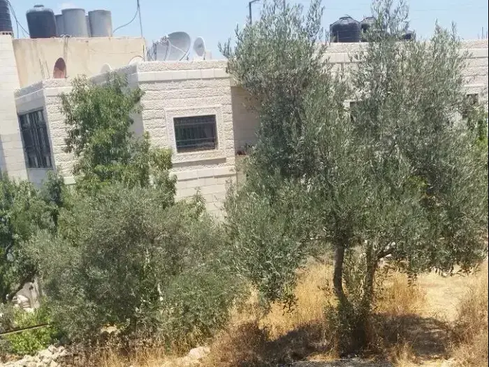 בקבוקי תבערה הושלחו לעבר בית של תושב הכפר דורא אל-קרע הסמוך לבית אל. (יח"צ , יש דין) בקבוקי תבערה הושלחו לעבר בית של תושב הכפר דורא אל-קרע הסמוך לבית אל. (יח"צ , יש דין)