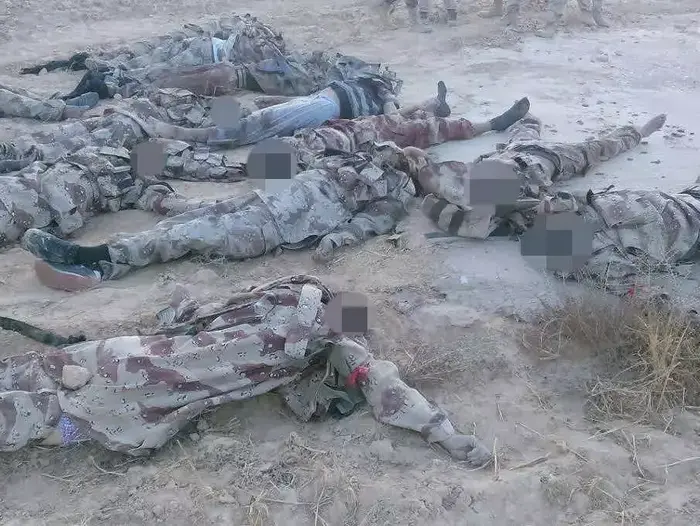 לוחמי דאעש שחוסלו בידי צבא מצרים בסיני, 1 ביולי 2015 (מערכת וואלה! NEWS , צבא מצרים) לוחמי דאעש שחוסלו בידי צבא מצרים בסיני, 1 ביולי 2015 (מערכת וואלה! NEWS , צבא מצרים)