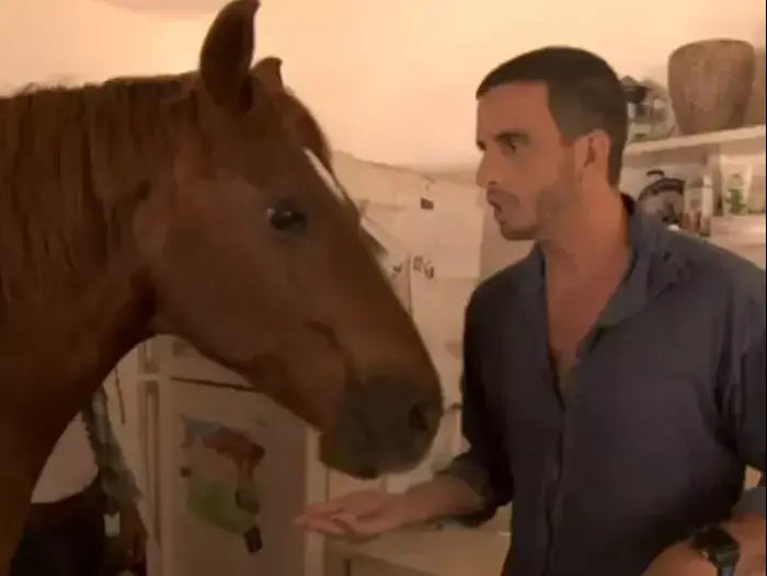 מושיק גלאמין בא לחדש (יח"צ) מושיק גלאמין בא לחדש (יח"צ)