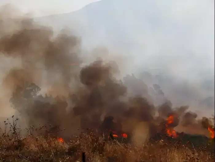 נפילות בצפון הגליל העליון, אוגוסט 2015 (מערכת וואלה! NEWS , מאיר וקנין) נפילות בצפון הגליל העליון, אוגוסט 2015 (מערכת וואלה! NEWS , מאיר וקנין)