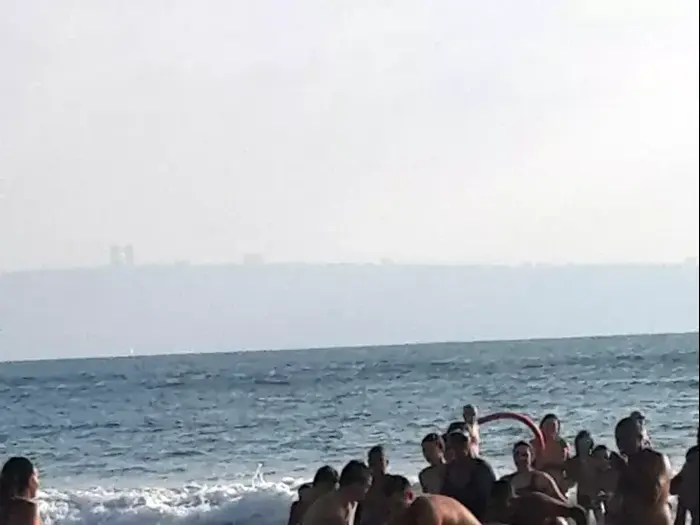 חילוץ דולפין פצוע שנתקע בין הסלעים בחוף הארגמן בעכו, 26 באוגוסט 2015. (חטיבת דובר המשטרה , חטיבת הדוברות) חילוץ דולפין פצוע שנתקע בין הסלעים בחוף הארגמן בעכו, 26 באוגוסט 2015. (חטיבת דובר המשטרה , חטיבת הדוברות)