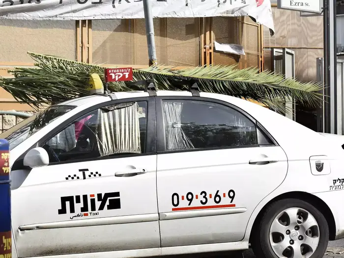 הכנות לקראת חג הסוכות בבני ברק. ספטמבר 2015 (ראובן קסטרו) הכנות לקראת חג הסוכות בבני ברק. ספטמבר 2015 (ראובן קסטרו)