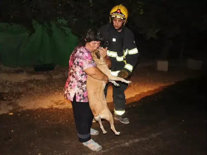 חשד להצתה בכלביית תנו לחיות לחיות שבגליל, ספטמבר 2015 (ספק 500 , בשיר אמין, תנו לחיות לחיות) חשד להצתה בכלביית תנו לחיות לחיות שבגליל, ספטמבר 2015 (ספק 500 , בשיר אמין, תנו לחיות לחיות)