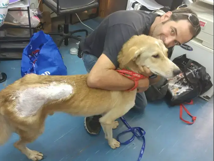 כלבים שאומצעו לאחר השריפה בכלביית "תנו לחיות לחיות" בסחנין (יח"צ , יעל ארקין, תנו לחיות לחיות) כלבים שאומצעו לאחר השריפה בכלביית "תנו לחיות לחיות" בסחנין (יח"צ , יעל ארקין, תנו לחיות לחיות)