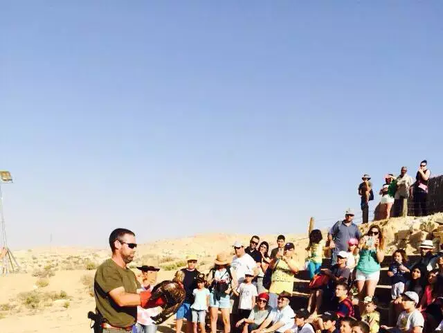 חוה"מ סוכות, איית צרעים בגן לאומי ממשית. אוקטובר 2015 (מערכת וואלה! NEWS , רעיה שורקי) חוה"מ סוכות, איית צרעים בגן לאומי ממשית. אוקטובר 2015 (מערכת וואלה! NEWS , רעיה שורקי)