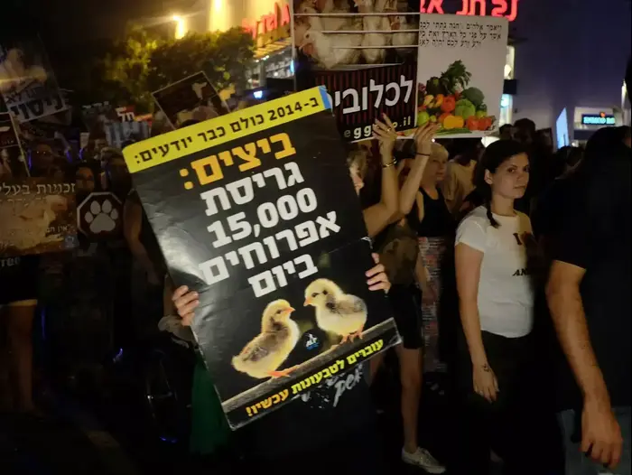 אלפים בצעדה למען זכויות בעלי חיים בתל אביב 3 באוקטובר 2015 (יותם רונן) אלפים בצעדה למען זכויות בעלי חיים בתל אביב 3 באוקטובר 2015 (יותם רונן)