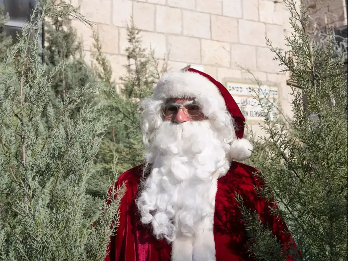 חלוקת עצי אשוח בשער יפו בירושלים לכבוד חג המולד (מור שאולי) חלוקת עצי אשוח בשער יפו בירושלים לכבוד חג המולד (מור שאולי)