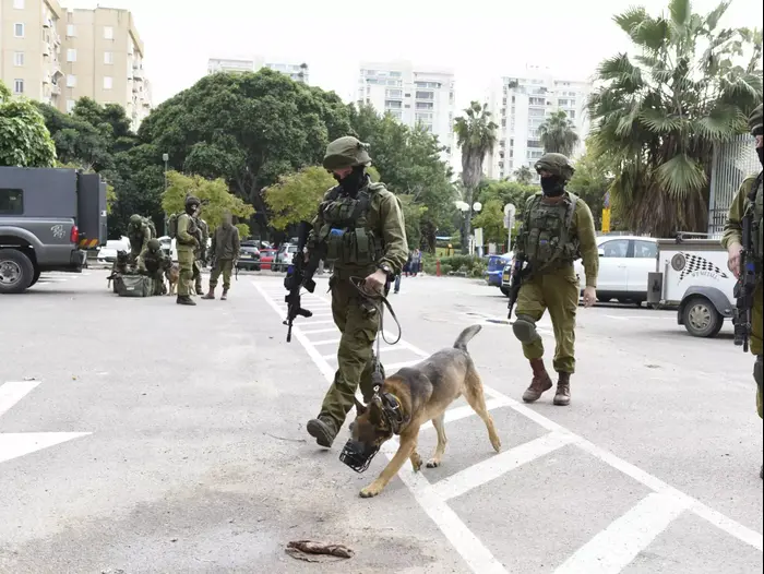 חיפושים ברמת אביב אחרי נשאת מלחם (ראובן קסטרו) חיפושים ברמת אביב אחרי נשאת מלחם (ראובן קסטרו)