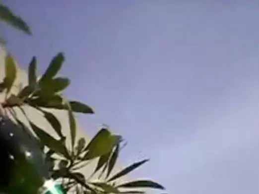 נשאת מלחם בצילומים מתוך הסלולרי האישי שלו (מערכת וואלה! NEWS , תקשורת שב"כ)