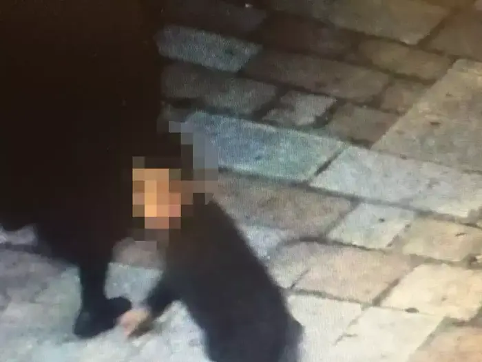 החשוד בביצוע פיגוע דקירה בשער שכם, ירושלים. 30 בינואר 2016 (מערכת וואלה! NEWS) החשוד בביצוע פיגוע דקירה בשער שכם, ירושלים. 30 בינואר 2016 (מערכת וואלה! NEWS)