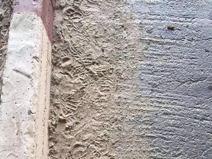 סכין ששימשה את המחבל בניסיון הפיגוע באלקנה (צילום מסך , ללא קרדיט) סכין ששימשה את המחבל בניסיון הפיגוע באלקנה (צילום מסך , ללא קרדיט)