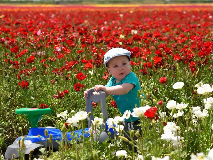 מטיילים בשדות גן יבנה (ראובן קסטרו) מטיילים בשדות גן יבנה (ראובן קסטרו)