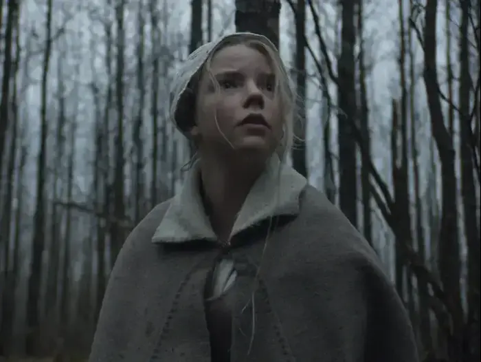 The Witch (יח"צ) The Witch (יח"צ)