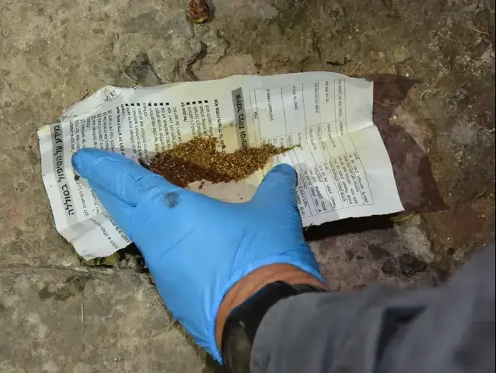 מצבורי סמים שנתפסו במהלך מבצע של המשטרה בנצרת עילית שימשו למסיבות טבע בהן השתתפו בני נוער (יח"צ , דובורת המשטרה) מצבורי סמים שנתפסו במהלך מבצע של המשטרה בנצרת עילית שימשו למסיבות טבע בהן השתתפו בני נוער (יח"צ , דובורת המשטרה)
