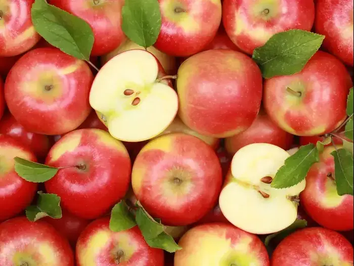 תפוחים אדומים (ShutterStock) תפוחים אדומים (ShutterStock)