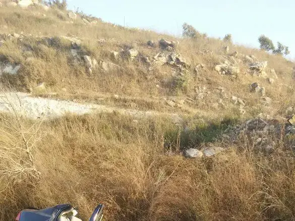 תאונת דרכים סמוך למצפה אביב, גוש שגב. יוני 2016 (כבאות והצלה , דוברות כבאות והצלה מחוז צפון) תאונת דרכים סמוך למצפה אביב, גוש שגב. יוני 2016 (כבאות והצלה , דוברות כבאות והצלה מחוז צפון)