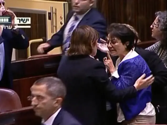 מהומה בכנסת, 29 ביוני 2016 (צילום מסך)