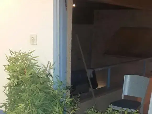 ארבעה עובדים זרים נעצרו במלון בים המלח בחשד לגידול סמים בחדרם 30.7.16 (חטיבת דובר המשטרה)