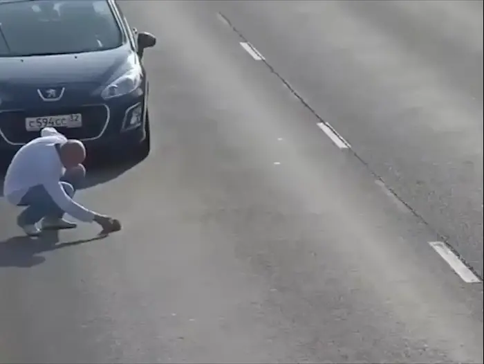תשע נשמות חתול נפל מרכב בכביש סואן והצליח להתחמק מהמכוניות עד שאחד הנהגים לקח אותו עמו (ספק 500) תשע נשמות חתול נפל מרכב בכביש סואן והצליח להתחמק מהמכוניות עד שאחד הנהגים לקח אותו עמו (ספק 500)
